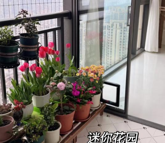 2023阳台装修神操作：封一半留一半，初看懵懂，入住后惊叹太聪明！